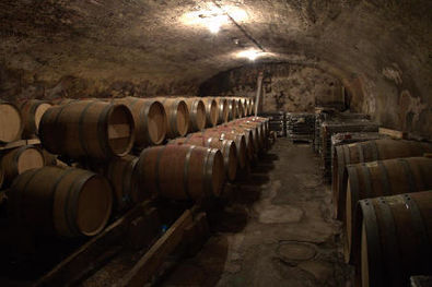 Domaine du Tunnel Stephane Robert Barrels in Cellar